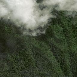 Kabupaten Pasaman map(satellite map)