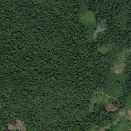 Kabupaten Parigi Moutong map(satellite map)