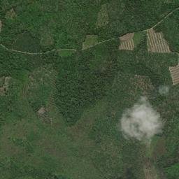 Kabupaten Pelalawan map(satellite map)