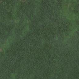 Kabupaten Donggala map(satellite map)