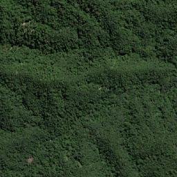 Kabupaten Tambrauw map(satellite map)