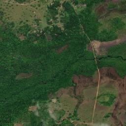 Salvaterra map(satellite map)