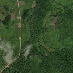 Santarém Novo map(satellite map)