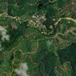Kabupaten Gunung Mas map(satellite map)