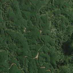 Kabupaten Dharmasraya map(satellite map)
