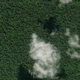 Kabupaten Tanjung Jabung Timur map(satellite map)