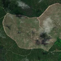 Kabupaten Tanjung Jabung Barat map(satellite map)