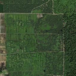 Kabupaten Sorong map(satellite map)