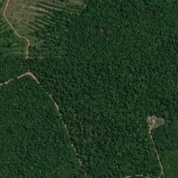 Santa Bárbara do Pará map(satellite map)