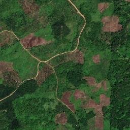 Kabupaten Paser map(satellite map)