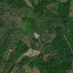 Kabupaten Tebo map(satellite map)