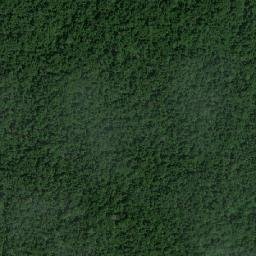 Kabupaten Sorong Selatan map(satellite map)