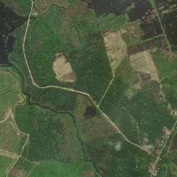 Kabupaten Muaro Jambi map(satellite map)