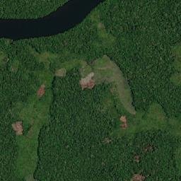 Curralinho map(satellite map)