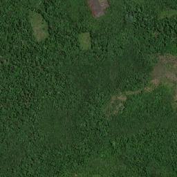 Boa Vista do Gurupi map(satellite map)