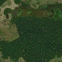 Curuá map(satellite map)