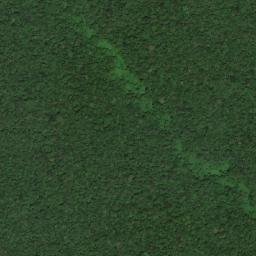 Maraã map(satellite map)