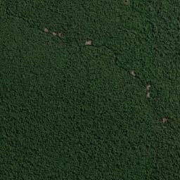 Kabupaten Barito Selatan map(satellite map)