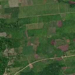 São Domingos do Capim map(satellite map)