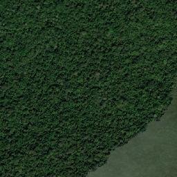 Kabupaten Teluk Bintuni map(satellite map)