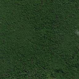 Limoeiro do Ajuru map(satellite map)