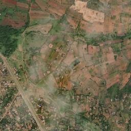 Nyamuswa map(satellite map)