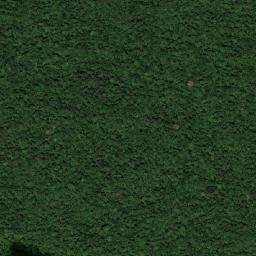 Puerto Arica map(satellite map)