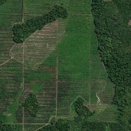Kabupaten Barito Timur map(satellite map)