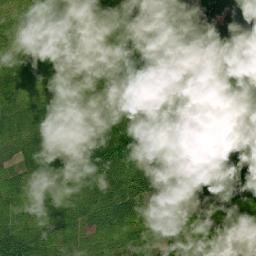 Cedral map(satellite map)