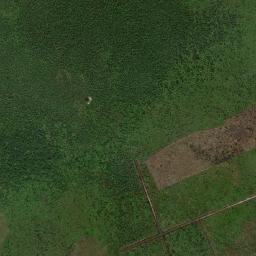Kabupaten Katingan map(satellite map)