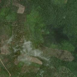 Kabupaten Kotawaringin Timur map(satellite map)