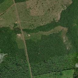 Juruti map(satellite map)