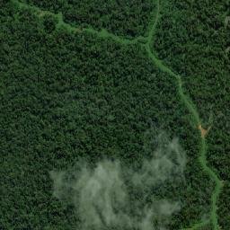 Kabupaten Sarmi map(satellite map)