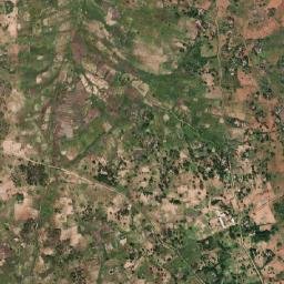 Ilemela District map(satellite map)