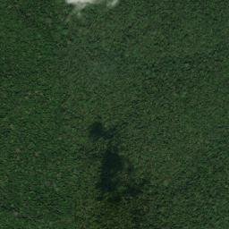 Itapiranga map(satellite map)