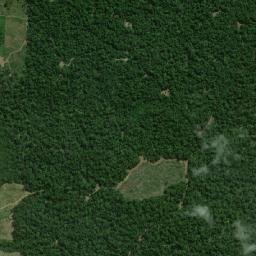 Tomé-Açu map(satellite map)