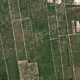 Jijoca de Jericoacoara map(satellite map)