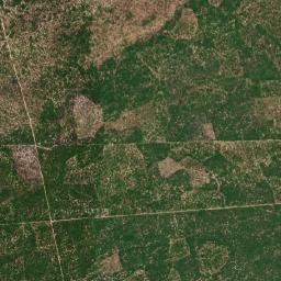 Paulino Neves map(satellite map)