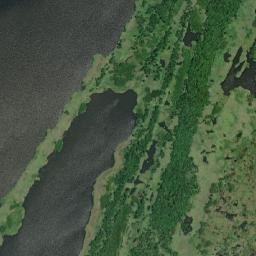 Guajará map(satellite map)