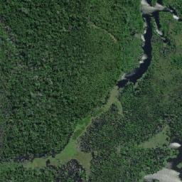 Boa Vista do Ramos map(satellite map)