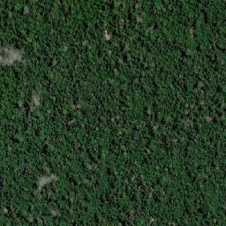 Medicilândia map(satellite map)