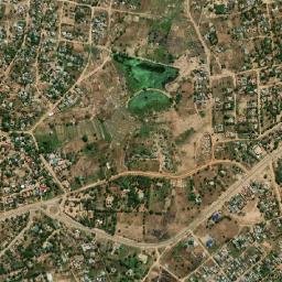 Nyalikungu map(satellite map)
