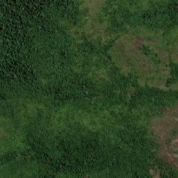 Zé Doca map(satellite map)