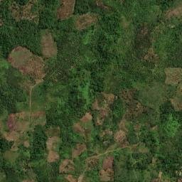 Kabupaten Lebong map(satellite map)