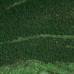 Manaquiri map(satellite map)