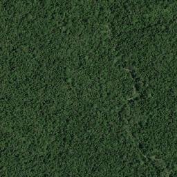 Kabupaten Seram Bagian Timur map(satellite map)