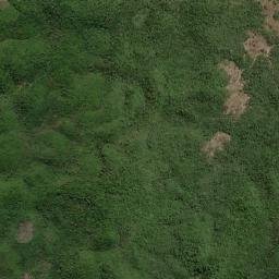 Presidente Vargas map(satellite map)
