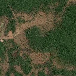 Nina Rodrigues map(satellite map)