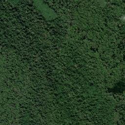 Anamã map(satellite map)
