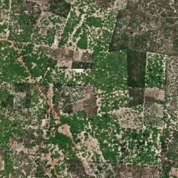 Cocal dos Alves map(satellite map)